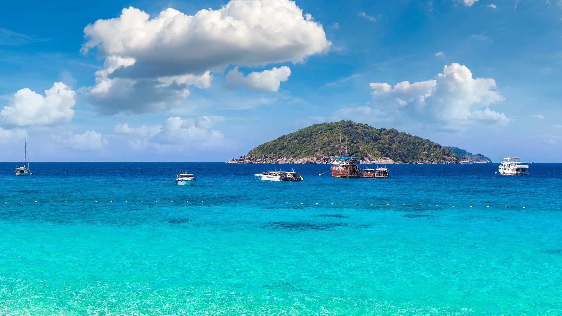 GreenFlyWorld hero bg3